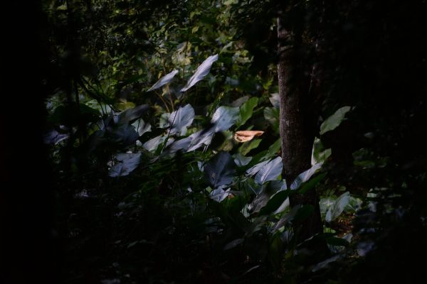DSC_5937