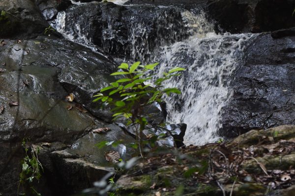 FYN_0176
