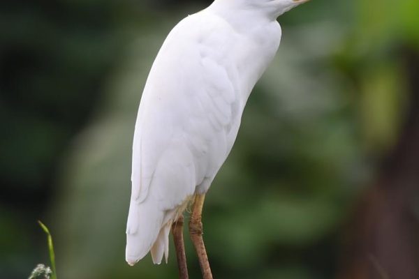 FYN_5282