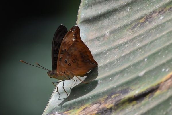 FYN_5318