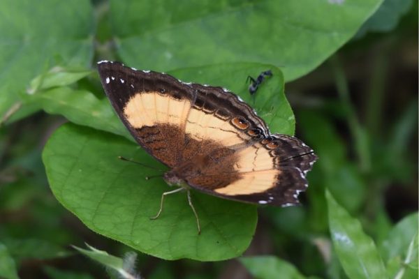 FYN_5326