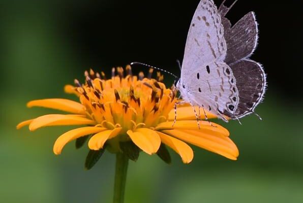 FYN_5359