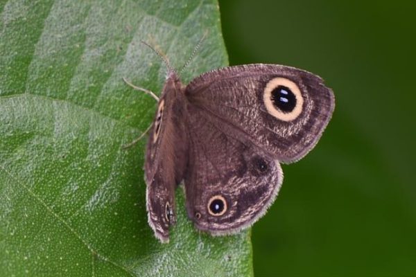 FYN_5368