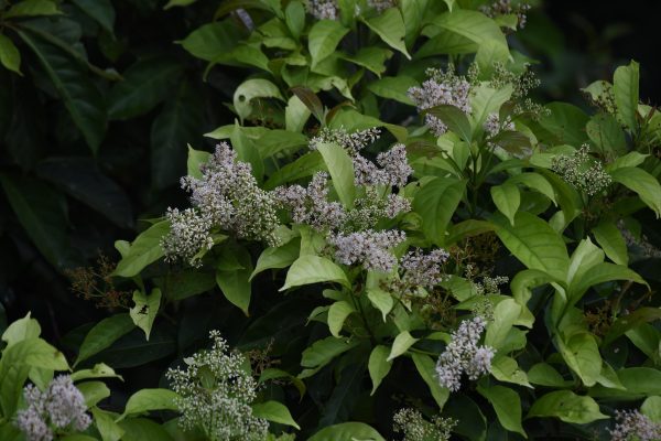FYN_5404
