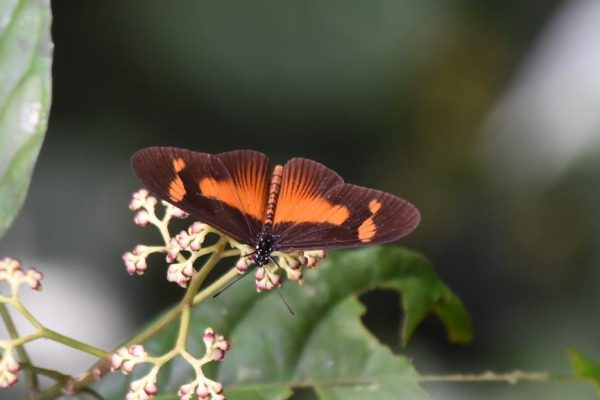 FYN_9444