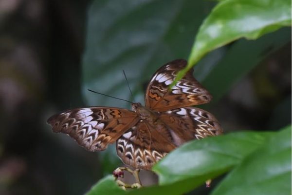 FYN_9552